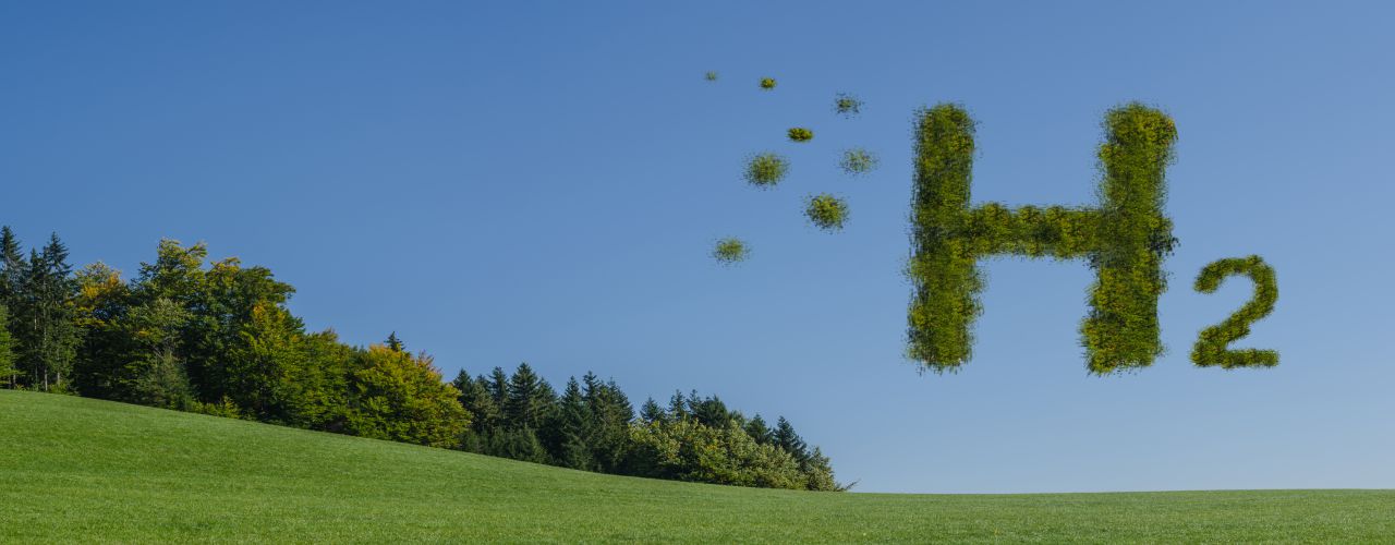 A green world is a better world
